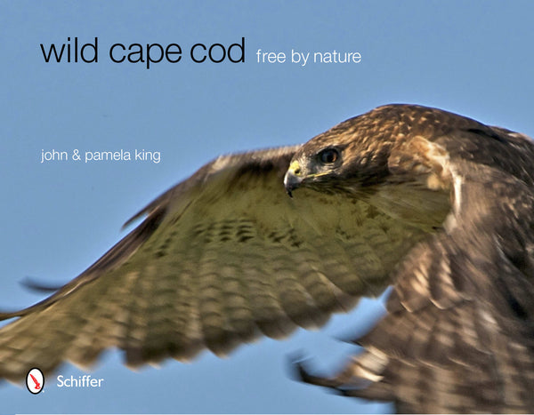 Wild Cape Cod – Military