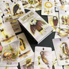 The Shadowland Lenormand by Schiffer Publishing, Ltd. features whimsical, surreal illustrations of a bat, key, sun, dog, fish, and owl—perfect for shadow work and cartomancy, shown spread on a black surface.