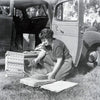 A woman kneels on grass by an open car door, arranging papers as a box labeled Ideal sits inside—a scene reflecting the dedication of women featured in "Heroines of Horticulture" by Schiffer Publishing, Ltd.