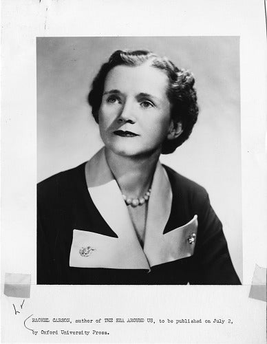 Black-and-white portrait of a woman with short dark hair in a two-tone suit jacket and brooch. Below, typewritten text identifies her as Rachel Carson—featured in Heroines of Horticulture by Schiffer Publishing, Ltd.