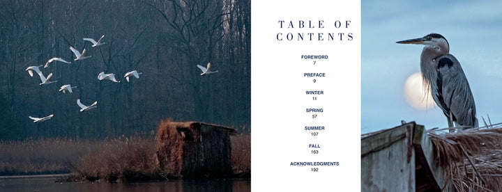 A photo from "Kent Island Waterscapes" by Schiffer Publishing, Ltd. shows white birds over a misty lake with reeds, a wooden hut, a blue heron, and the moon—perfect for any Chesapeake Bay coffee table book.