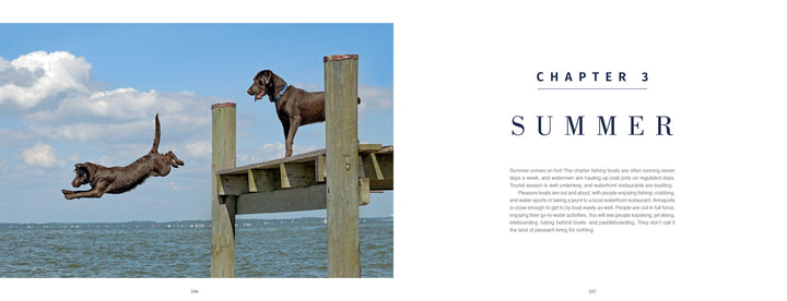 Two dogs play on a wooden dock, one leaping into the lake under sunny blue skies. This lively scene evokes images found in "Kent Island Waterscapes" by Schiffer Publishing, Ltd.—perfect for lovers of lakeside photography.