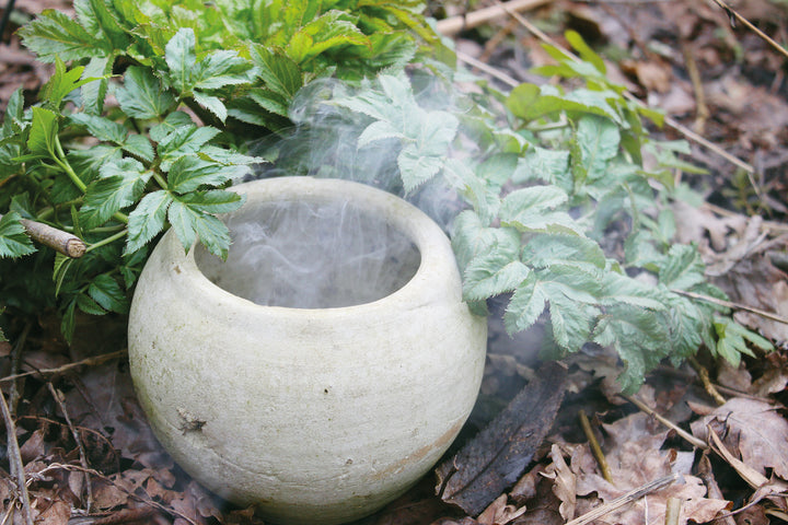 On the forest floor, a round white clay pot emits smoke amid green plants and brown leaves—a tranquil scene from "Essence and Ember" by Schiffer Publishing, Ltd., ideal for fans of holistic incense crafting with herbs and resins.