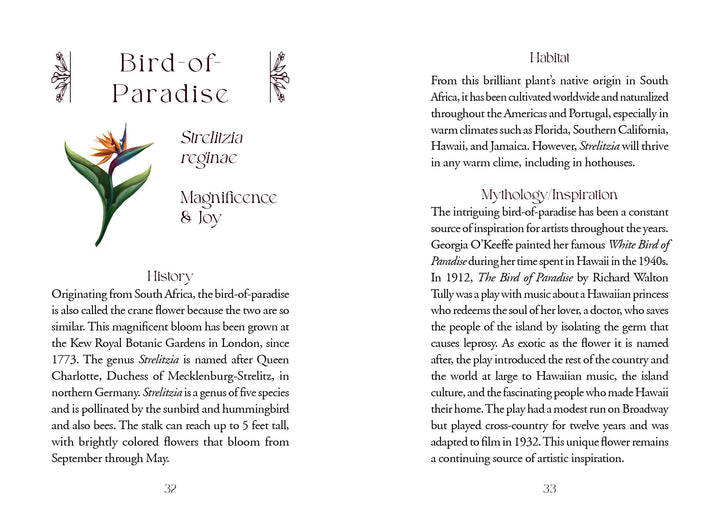 A two-page spread from a botanical guidebook highlights the Bird-of-Paradise flower—its scientific name, history, habitat, and cultural meaning—with an illustration, similar to cards in The Flowerwise Oracle by Schiffer Publishing, Ltd.
