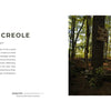 In a sunlit forest, a woman in a long dress atop an old car evokes the resilience of Indigenous languages, inspired by "On the National Language" from Schiffer Publishing, Ltd., among tall trees and fallen leaves.