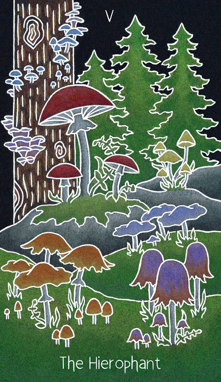 The Hierophant from The Animystic Tarot by Schiffer Publishing, Ltd. features vibrant mushrooms in a woodland clearing, framed by tall pines and a textured tree trunk, reflecting the mystical beauty of nature.