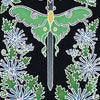 The Animystic Tarot by Schiffer Publishing, Ltd. features a Queen of Swords card with a central sword, a green moth, blue and white flowers, and lush leaves, reflecting the deck’s nature-inspired style on a striking black background.