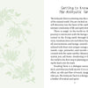 A book page titled "Getting to Know The Animystic Tarot" by Schiffer Publishing, Ltd. features light green botanical art on cream, introducing this nature-inspired tarot deck and its spiritual and communal connections.