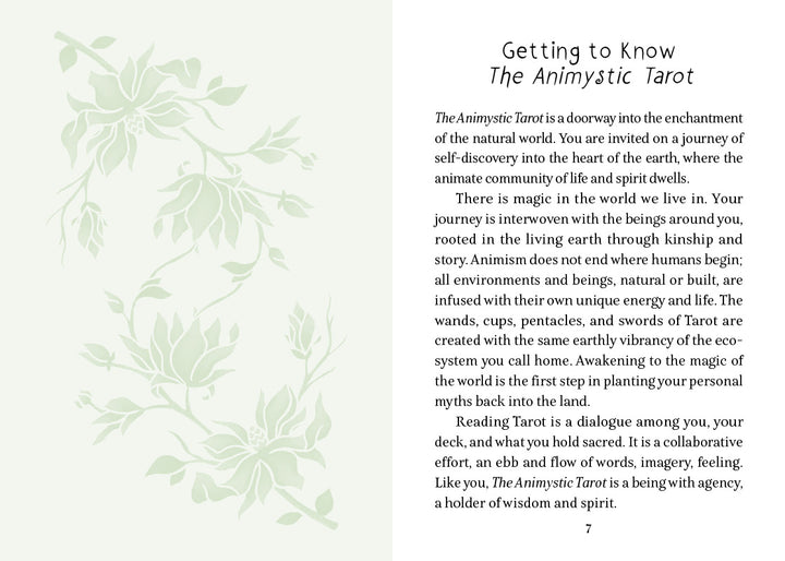 A book page titled "Getting to Know The Animystic Tarot" by Schiffer Publishing, Ltd. features light green botanical art on cream, introducing this nature-inspired tarot deck and its spiritual and communal connections.
