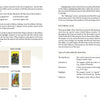 A spread from "Mastering the Tarot Tableau" by Schiffer Publishing, Ltd. features explanations of significators, auspicious and inauspicious cards, pictorial cues, and card types, with two sample tarot cards shown in a narrative tarot style.