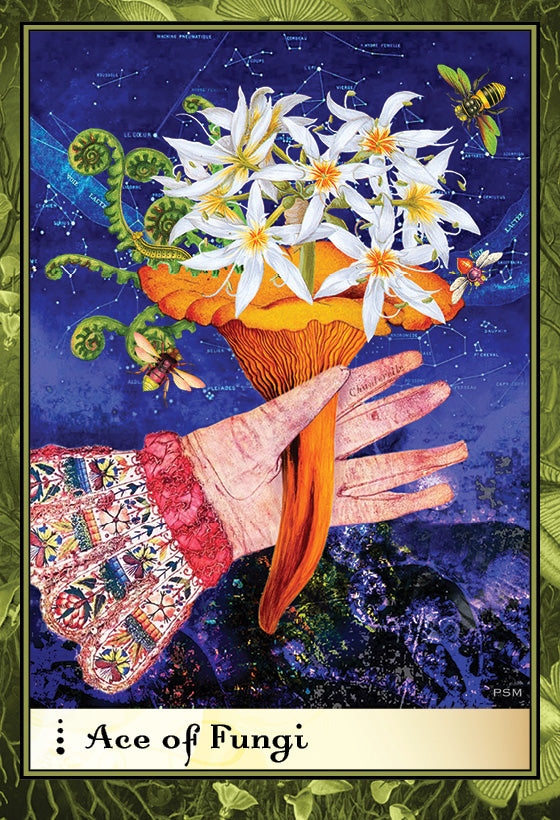 A hand in a decorative sleeve holds a large orange mushroom crowned with white lilies against a starry sky, inspired by Rider-Waite-Smith. The card, labeled "Ace of Fungi," is from Boadicea's Tarot of Earthly Delights by Schiffer Publishing, Ltd.
