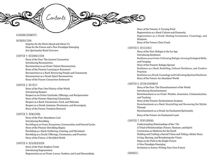 The table of contents in Eco-Spirituality in the 21st Century by Schiffer Publishing, Ltd. features a decorative top border and chapters on recognition, respect, regeneration, resilience, and reverence in nature and earth-based spirituality.