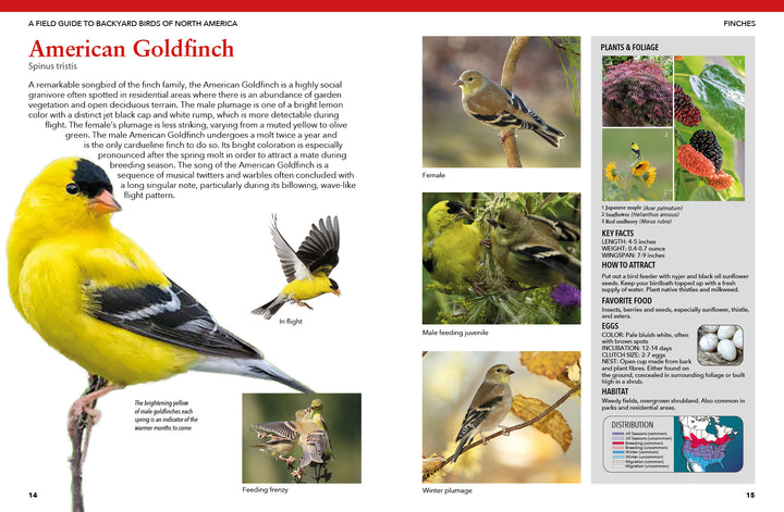 The "Backyard Birds of North America" guide from Schiffer Publishing, Ltd. features photos and details on the American Goldfinch—showcasing males in flight, feeding, winter plumage, and a female perched—with ID tips and key facts.