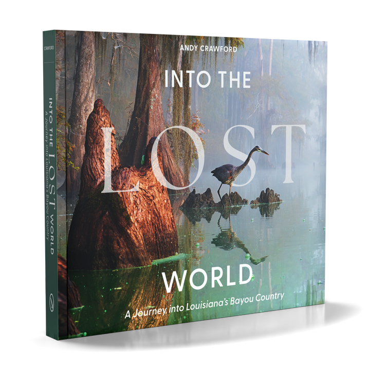 Book cover for *Into the Lost World* by Schiffer Publishing, Ltd., features a misty Louisiana bayou with cypress trees, tranquil water, and a heron on a log—a photographic journey through bayou country.