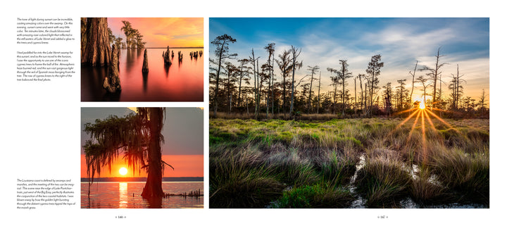 A collage titled "Into the Lost World" by Schiffer Publishing, Ltd. depicts a vibrant Louisiana bayou at sunset, with cypress trees, misty wetlands, tall grass, and golden-orange light illuminating the landscape.