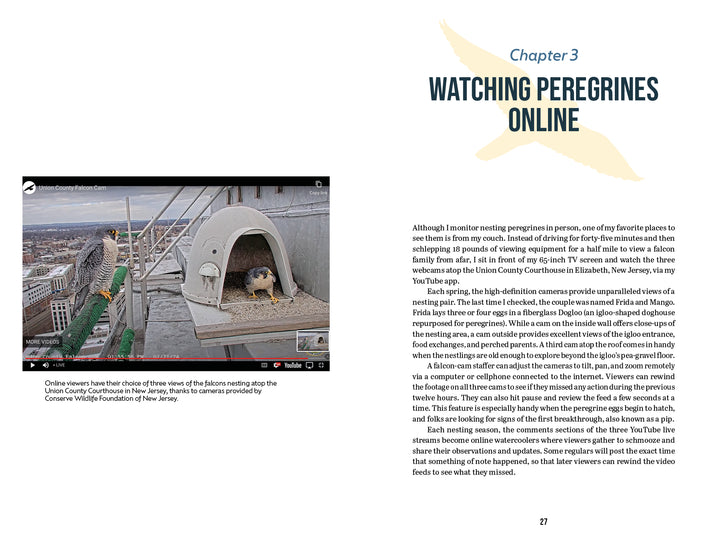 A YouTube livestream screenshot shows two peregrine falcons at their rooftop nest. Learn more about these fascinating raptors in "The Peregrine Falcon" by Schiffer Publishing, Ltd.