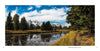 A scenic trail traces a pond framed by pine trees and grass, with snow-capped peaks rising behind—a signature Grand Teton National Park landscape featured in this Schiffer Publishing, Ltd. book, ideal as a souvenir or photography collection.
