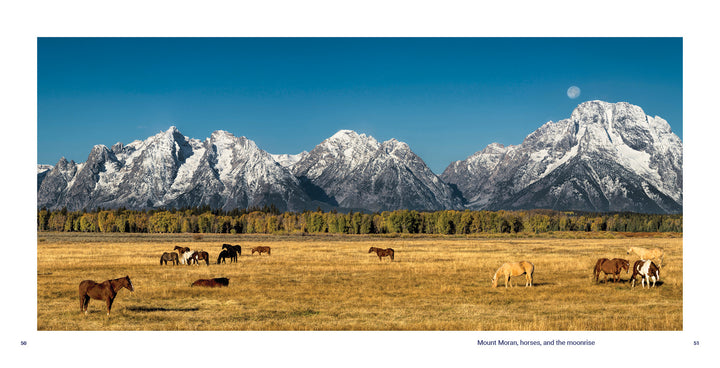 Horses graze in a golden meadow with snowy peaks and a rising moon under clear skies—a scene from Grand Teton National Park, captured beautifully in this Schiffer Publishing, Ltd. photography book.