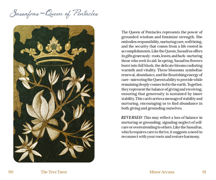 From The Tree Tarot by Schiffer Publishing, Ltd., this tarot card features white, blooming flowers against a green backdrop and includes detailed text on the Sassafras—Queen of Pentacles. It describes both the upright and reversed meanings, is infused with forest wisdom, and displays page numbers 90 and 91 at the bottom.