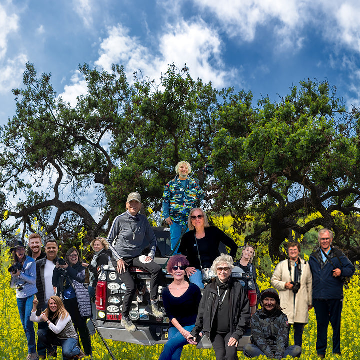 A group of photographers poses in front of a truck parked in a field of yellow flowers under a large oak tree, in a scene from the Schiffer Publishing, Ltd. book Los Angeles.