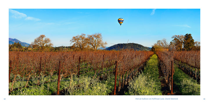 A hot-air balloon floats over rows of dormant grapevines in the Vineyards of Napa Valley by Schiffer Publishing, Ltd.