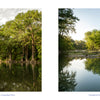 Two photos of the Guadalupe River lined with bald cypress trees from Texas Hill Country, capturing the beauty of scenic Texas.