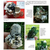 A magazine page showcases close-ups of colorful minerals from "Jewels of the Early Earth" by Schiffer Publishing, Ltd., featuring greenstone belts and pegmatites on grass or in hand, with text about Afghan pegmatites.