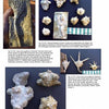 A page from Paleozoic Fossils by Schiffer Publishing, Ltd. displays photos of fossilized crinoids and echinoderms with labeled specimens, a ruler for scale, and descriptive captions to help fossil hunters identify ancient finds.
