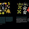 Two black pages from the "Atlas of Flowering Plants" by Schiffer Publishing, Ltd. display vibrant botanical illustrations of flower stamens and whole blooms, with white and blue text below detailing plant anatomy.