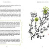 A spread in The Healthy Witch by Schiffer Publishing, Ltd. shows magikal healing text on the left page and a St. Johns Wort illustration—with white flowers, green accents, and handwritten plant name—on the right in this holistic witchy workbook.