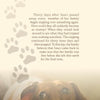 A brown dachshund rests on a soft surface, gazing upward as faded paw prints ascend beside touching pet visitation stories from "Tails of the Afterlife" by Schiffer Publishing, Ltd., sharing one family's journey after losing their dog, Sauci.