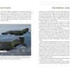 A McDonnell-Douglas F-4 Phantom II flies with another military jet above mountains under a clear sky, as featured on the book page "McDonnell-Douglas F-4 Phantom II at George Air Force Base, California" by Schiffer Publishing, Ltd.