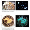 A page from "Collecting Fluorescent Minerals" by Schiffer Publishing, Ltd. features scheelite and septarian nodule specimens under normal and shortwave UV light, highlighting their vivid glowing patterns—ideal for any mineral enthusiast.