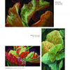 A page showcases three vibrant paintings of plant leaves in green, red, and yellow, featured in "Green Art" by Schiffer Publishing, Ltd., with artwork titles and sizes listed beside each painting.