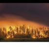 Dramatic wildfire scenes, like a large blaze lighting up a dense night forest with billowing smoke, are vividly captured in "Terra Flamma" from Schiffer Publishing, Ltd.—a striking collection of California wildfire photography.