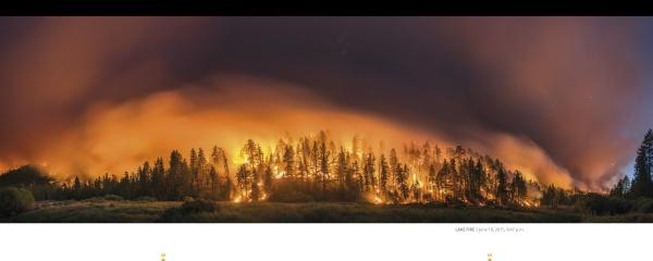 Dramatic wildfire scenes, like a large blaze lighting up a dense night forest with billowing smoke, are vividly captured in "Terra Flamma" from Schiffer Publishing, Ltd.—a striking collection of California wildfire photography.