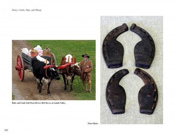 A figure in traditional dress stands with two oxen pulling a red and white cart, evoking farm life; to the right, Schiffer Publishing, Ltd.’s "Yesterday's Farm Tools & Equipment" displays four vintage oxen shoes on a light background.