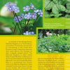A page from "Coastal Garden Plants" by Schiffer Publishing, Ltd. highlights Siberian Bugloss with photos of its blue flowers and veined, heart-shaped leaves, plus info on its looks, growth, and perennial use in northern coastal gardens.
