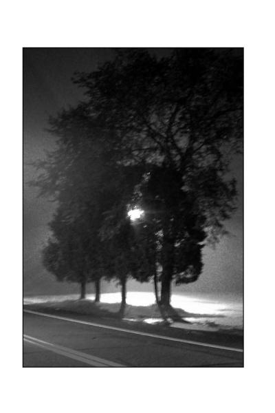 Black-and-white photo of four trees along a road at night under a streetlight, evoking Indiana Ghost Folklore by Schiffer Publishing, Ltd. with an eerie mood, deep shadows, and echoes of classic Hoosier paranormal history.