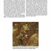 A close-up photo from "Introduction to Radioactive Minerals" by Schiffer Publishing, Ltd. displays pale yellow uranium minerals on brown rock from Cerro Summum mine, Inyo Co., California, highlighting evaporated mineral formations.