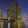 Featuring a city skyline and water, "Miami At Night" by Schiffer Publishing, Ltd. captures Miami’s vibrant essence—ideal for Miami photography or cityscape photography collections.