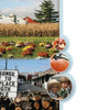 Lancaster County: Out and About by Schiffer Publishing, Ltd. captures an autumn rural scene—farm, cornfield, fall flowers, apples, pumpkins, firewood for sale, and two children at a market—perfect for fans of Lancaster County's Amish charm.