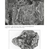 The "Photographs of Alleged Alien Implants" page in Alien Encounters in the Western United States (Schiffer Publishing, Ltd.) features two B&W microscope images of irregular metallic objects, one with oval markings, with captions noting magnification and subjects.