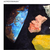 A page from Schiffer Publishing, Ltd.'s Gems & Minerals displays a blue and brown opal, a pink rock crystal, and a yellow sulfur specimen, all highlighted against a striking black background for easy mineral identification.