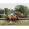 Two jockeys race thoroughbreds at full speed on a dirt track with trees and a circular sign in the background, capturing the excitement of Horse Racing by Schiffer Publishing, Ltd.—perfect for horse racing photography fans.