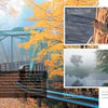 A green metal bridge crosses a river in Central Massachusetts amid autumn trees; insets show a bird by water and the misty Connecticut River. “Central Massachusetts Perspectives” by Schiffer Publishing, Ltd. is noted at the right.