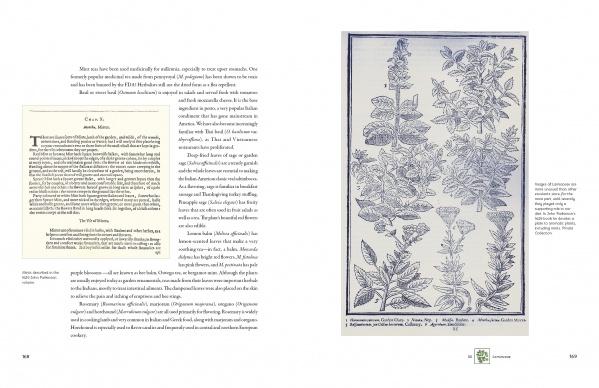 In The Graphic Vegetable by Schiffer Publishing, Ltd., a two-page spread pairs text and a highlighted essay on the left with vintage-style botanical illustrations of herbs—complete with scientific and common names—on the right.