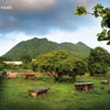A lush cemetery with stone gravestones, trees, and mountains under a cloudy sky. "Jewish Treasures of the Caribbean" by Schiffer Publishing, Ltd. explores one of the oldest Jewish communities.