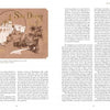 A sepia-toned illustration of San Diego landmarks, including Rancho Santa Fe, appears with text columns and the headline "San Diego" on "The Life and Times of Lilian J. Rice, Master Architect" by Schiffer Publishing, Ltd.