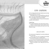 A grayscale page from the My First Tarot guidebook by Schiffer Publishing, Ltd. shows an abstract cup with swirling liquid and waves, accompanied by text about the Cups suit, emotions, and Ace of Cups card meaning in tarot.